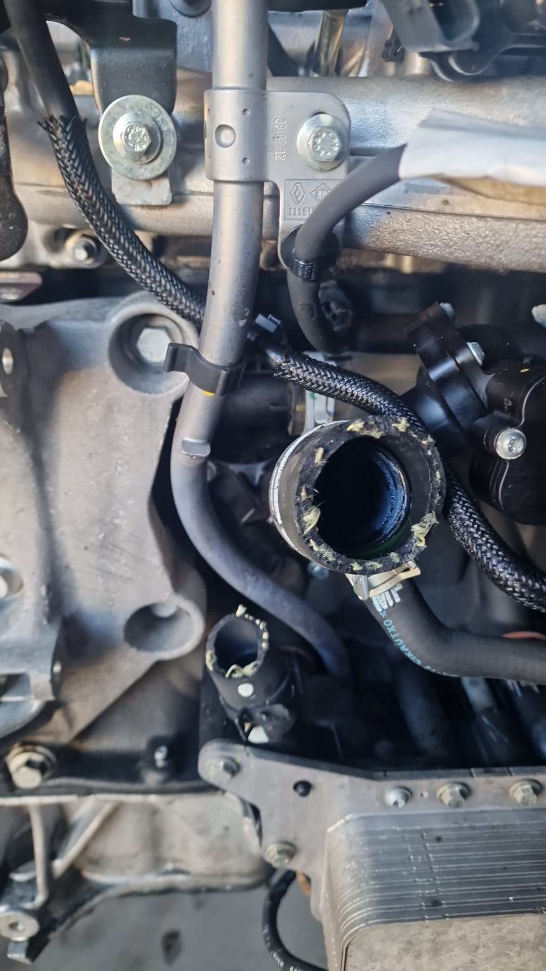 Motor Completo