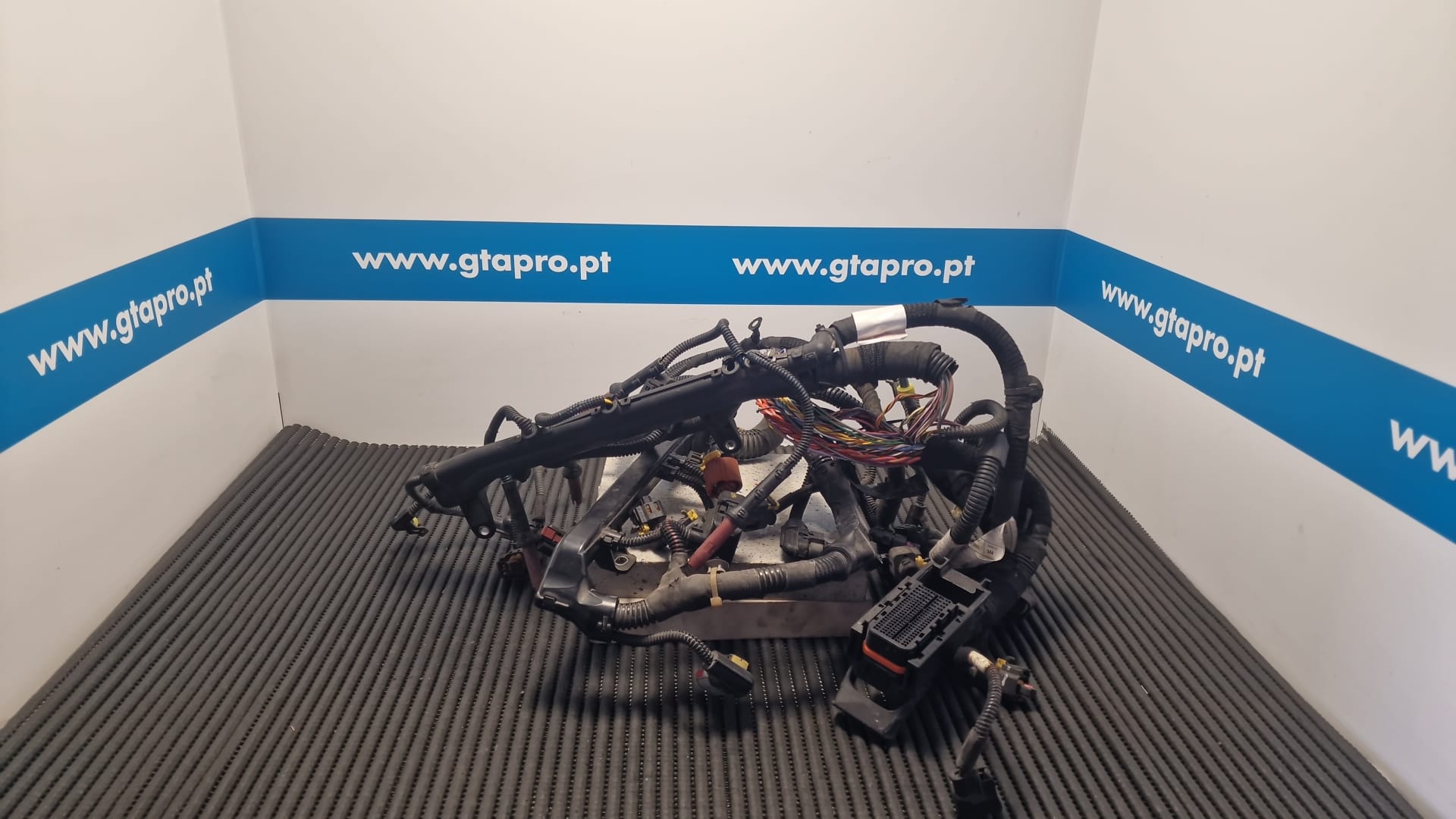 Impianto elettrico motore / cablaggio motore